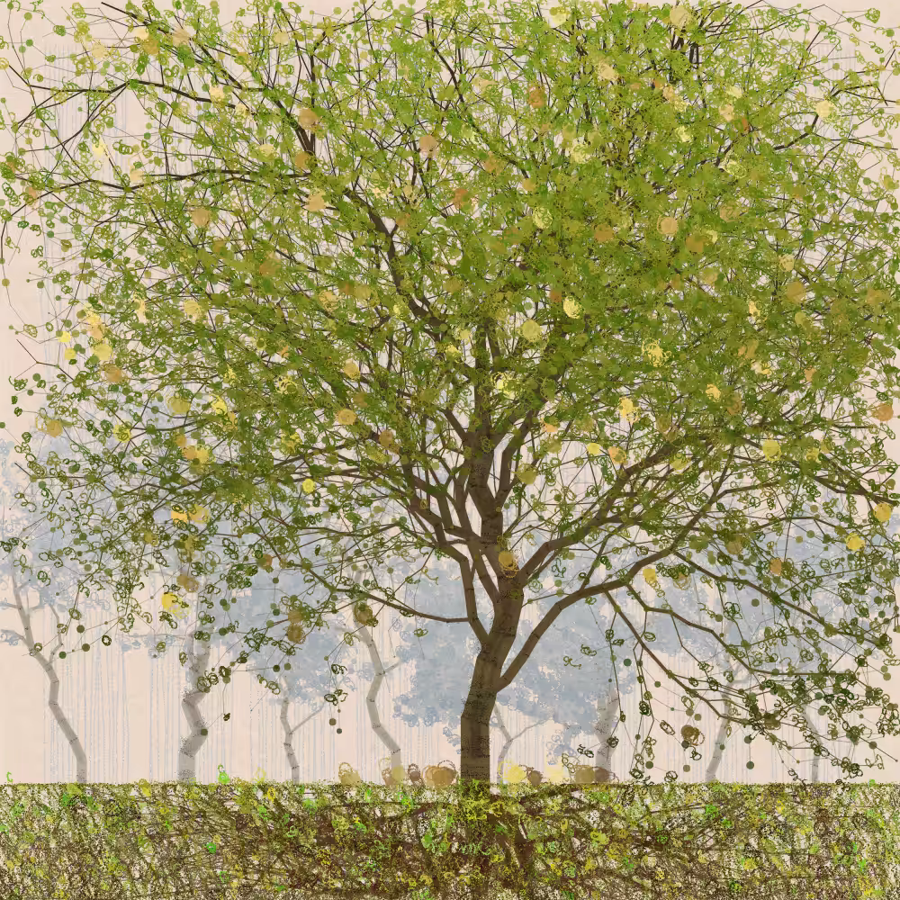 Orchard #361