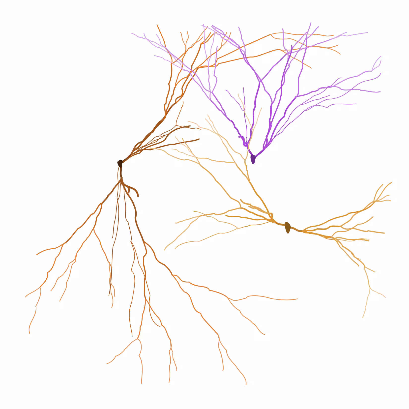 Ghost Forest Seedlings: Ghost Forest Seedling #62
