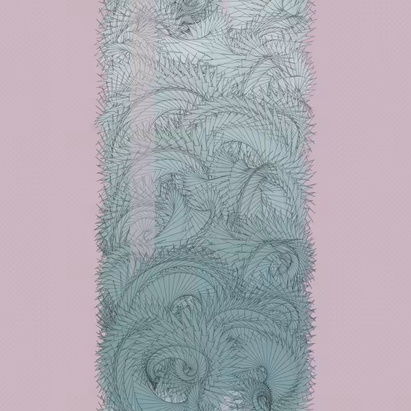 Braids/burdens #2