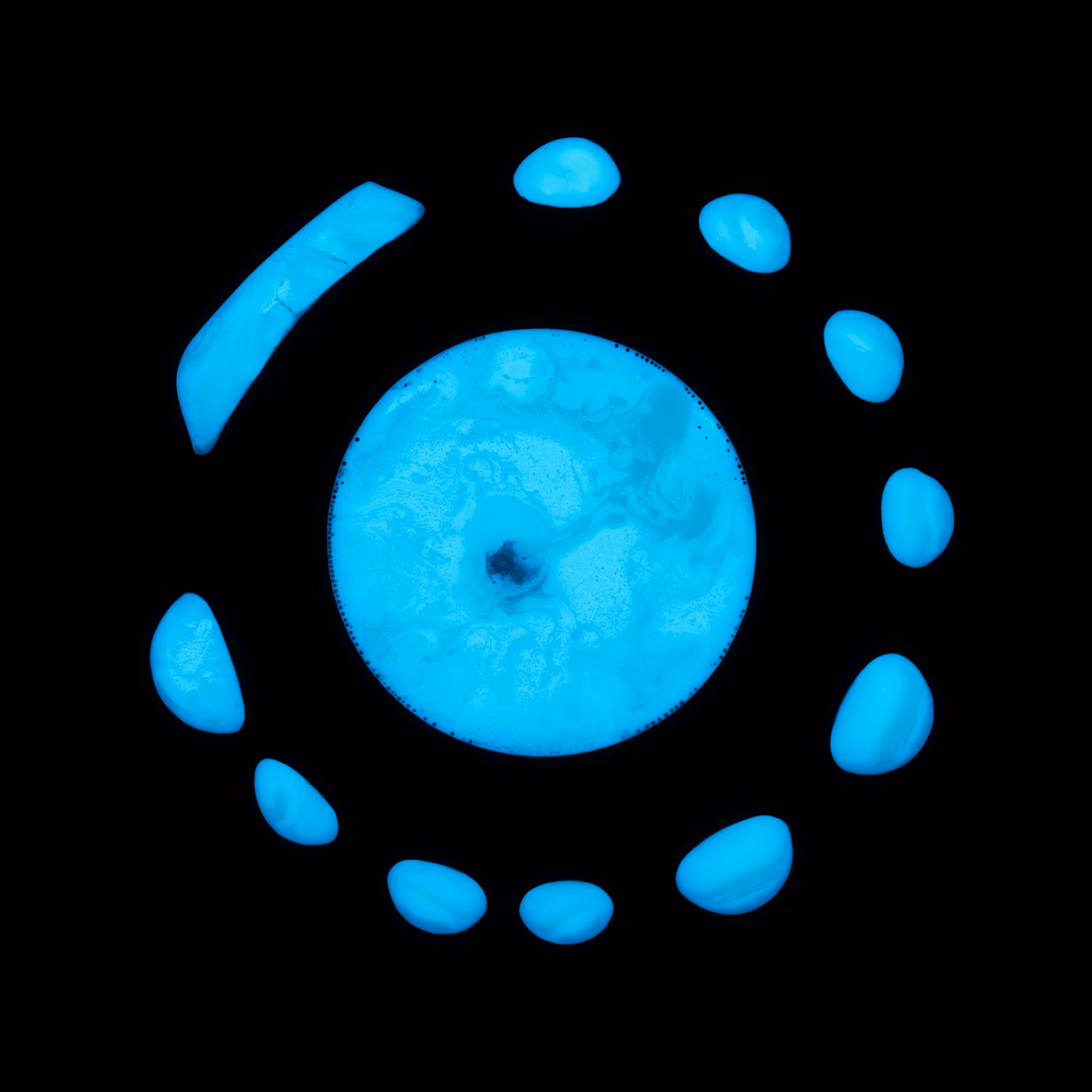 Haematopoiesis #12