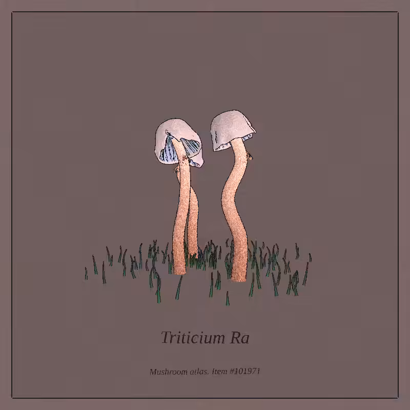 Mushroom Atlas #8