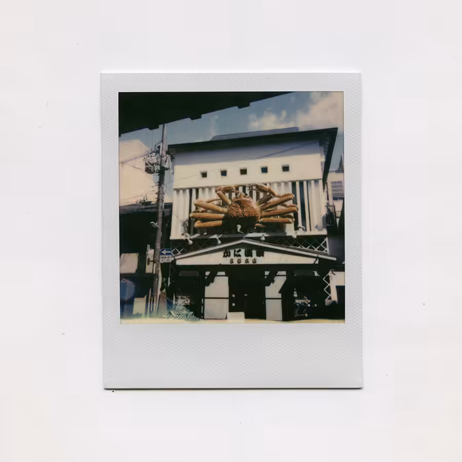 Kyoto Krab