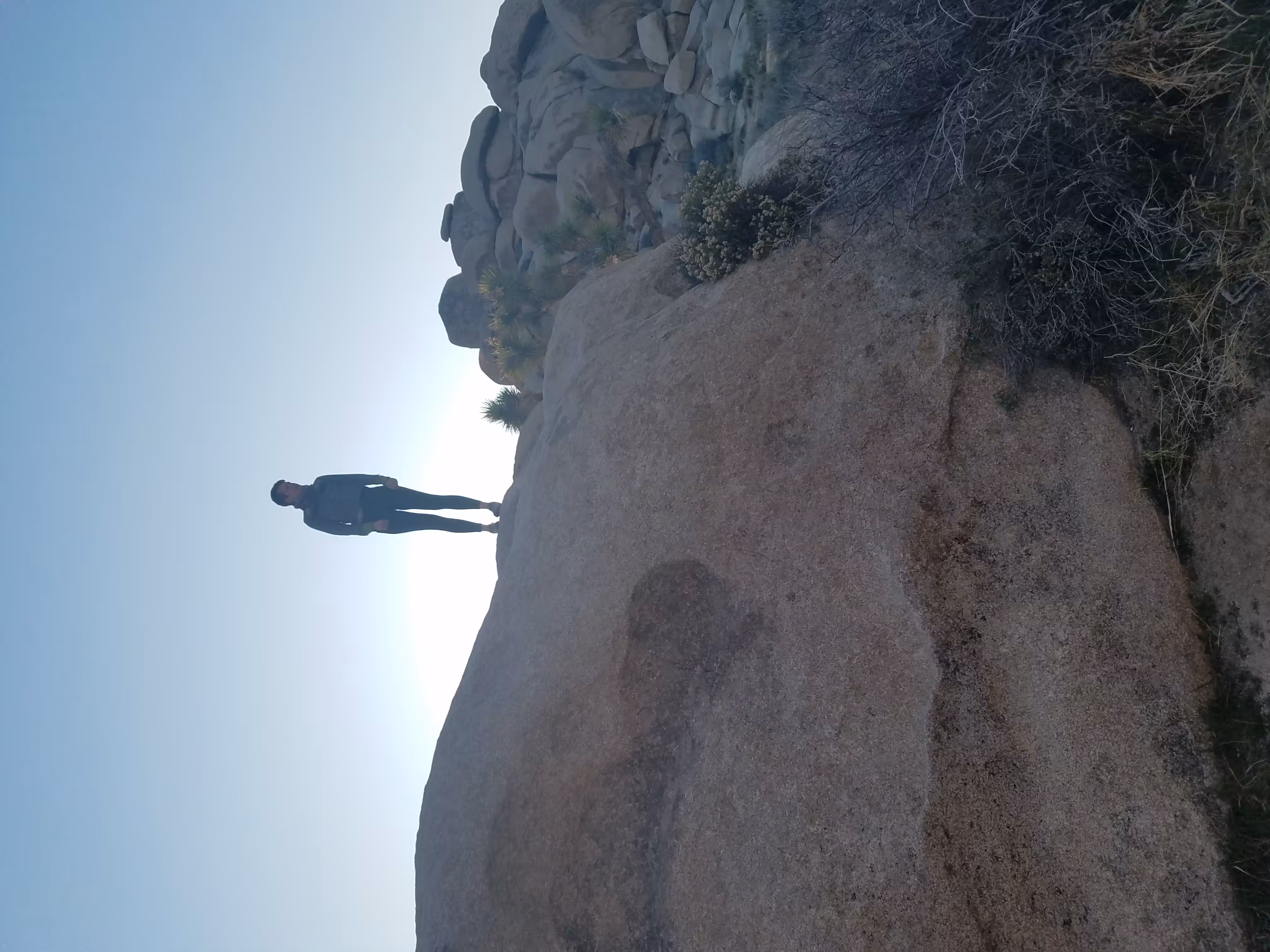 Desert Silhouette