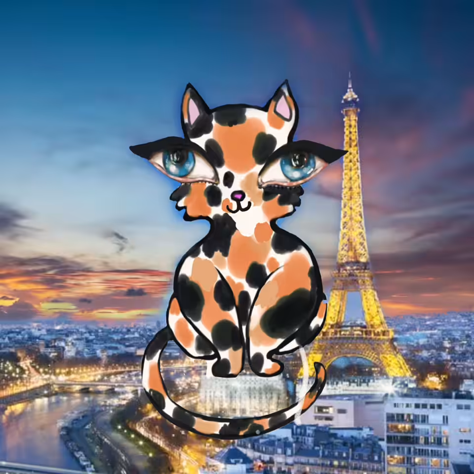 Hawa Cat is a Francophile
