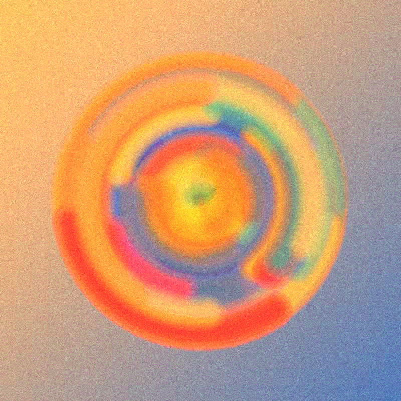 Wisp #725
