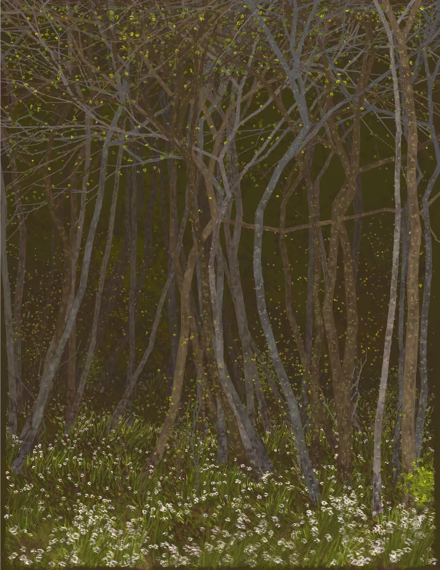 Deep Forest #51