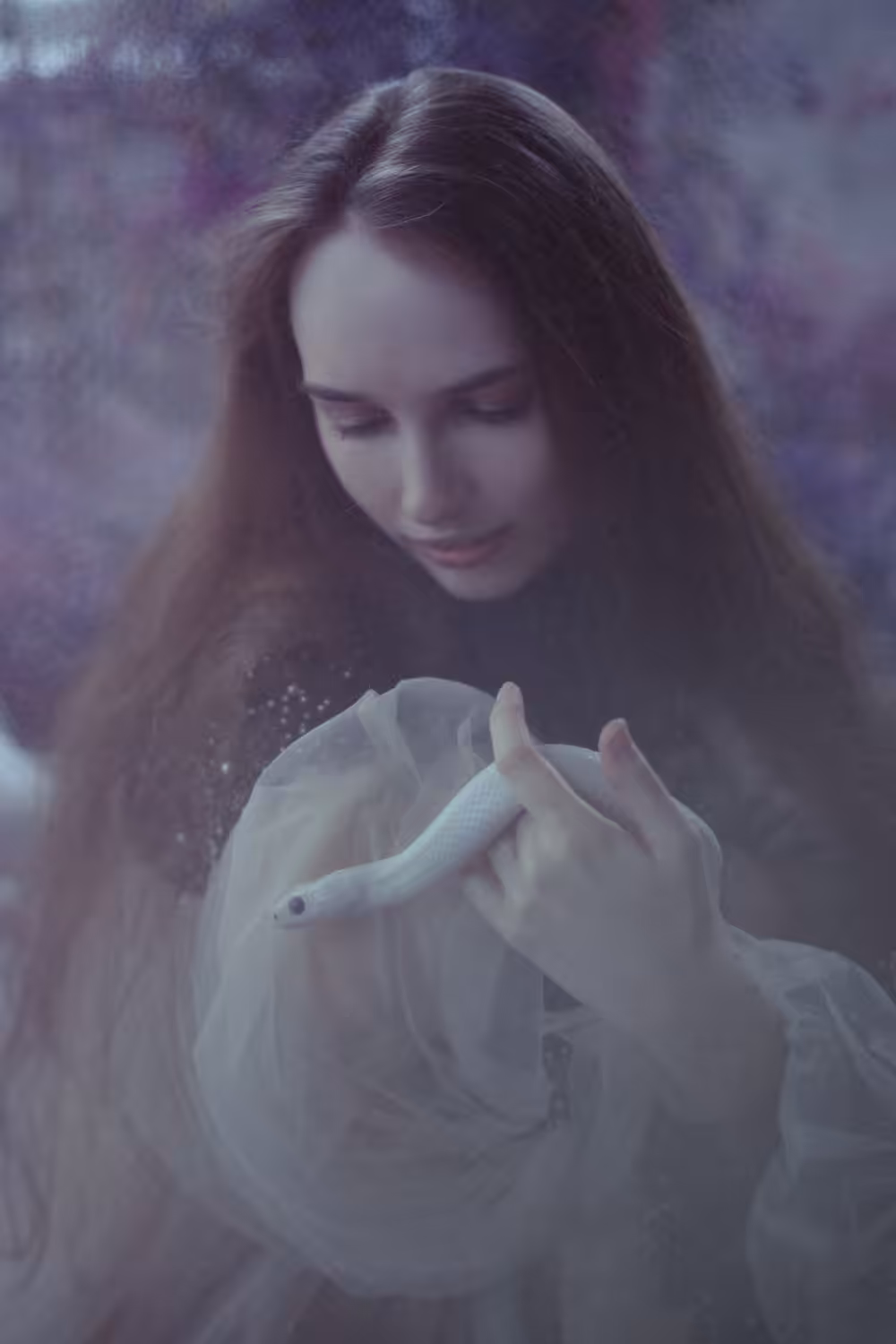 White Snake Dream