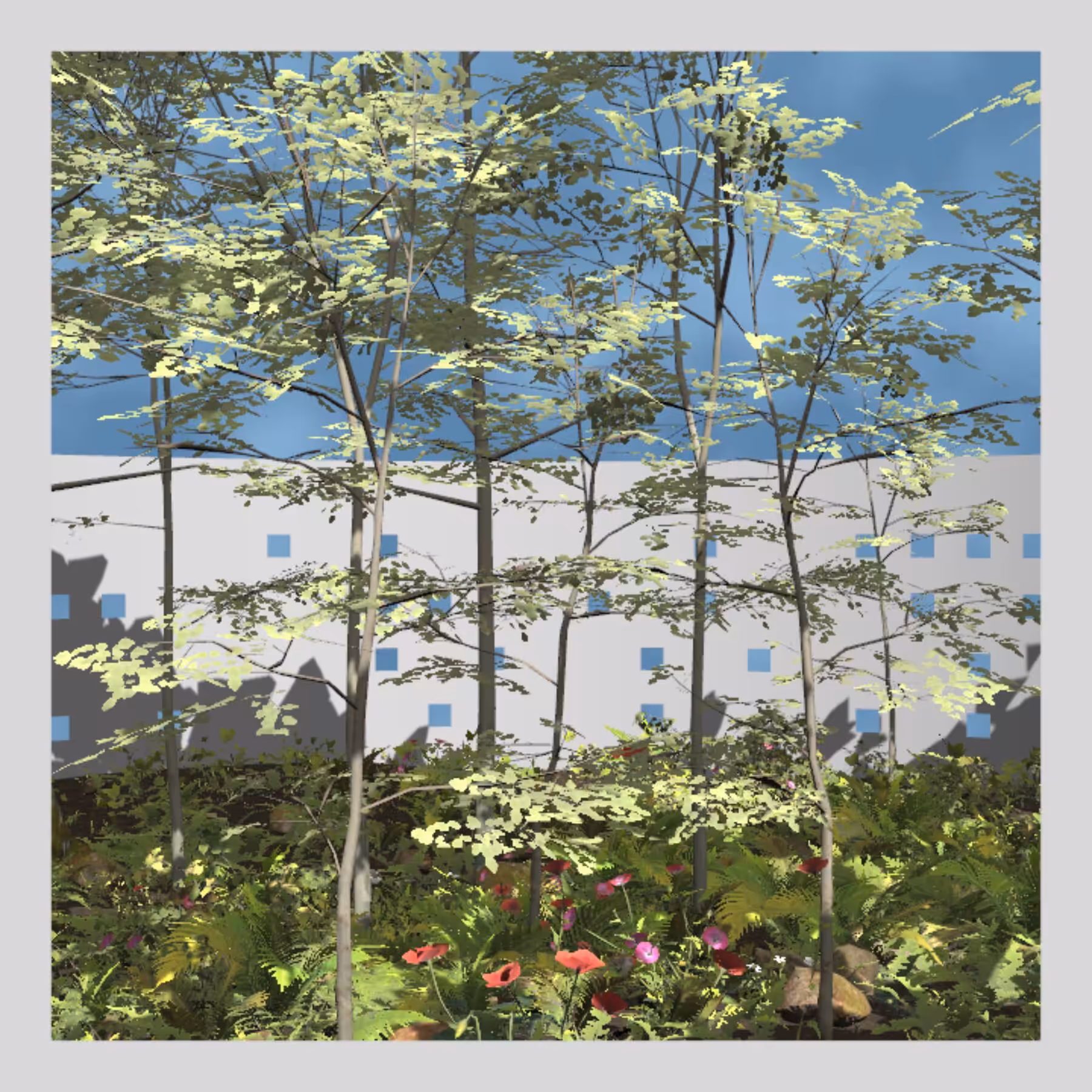 Branch