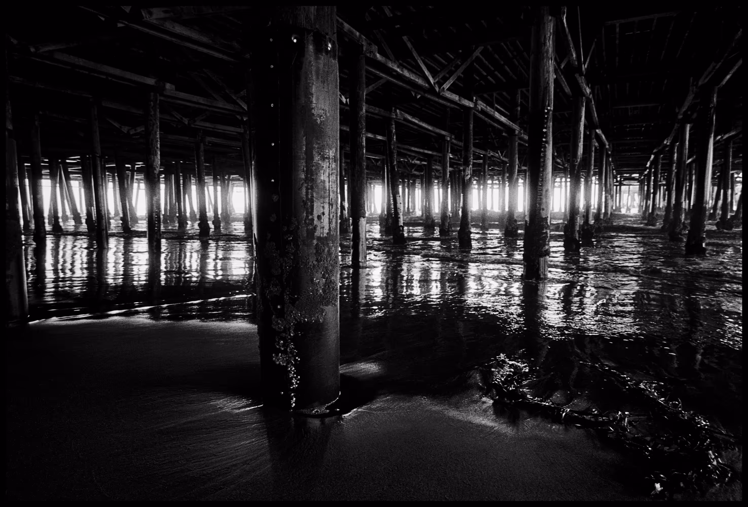 Leica M2, Pier #01 Santa Monica, CA