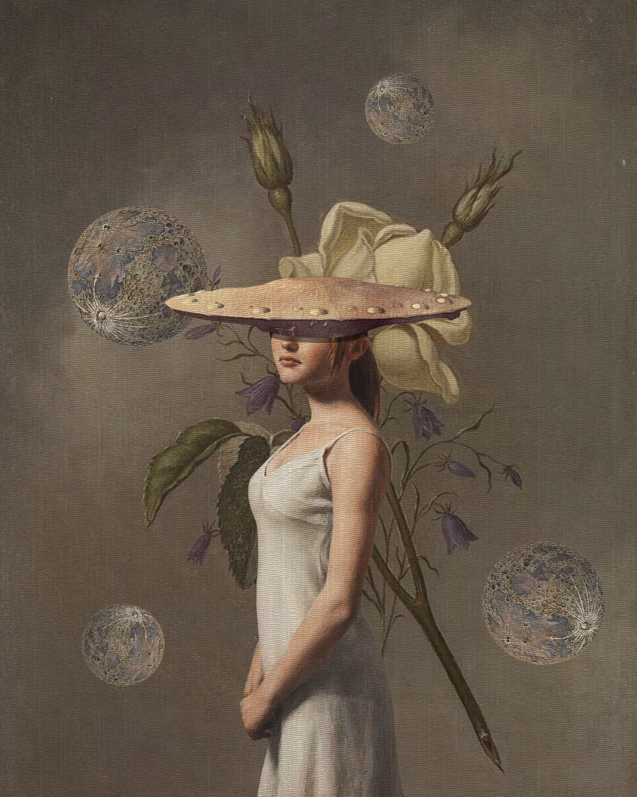 The Lady
