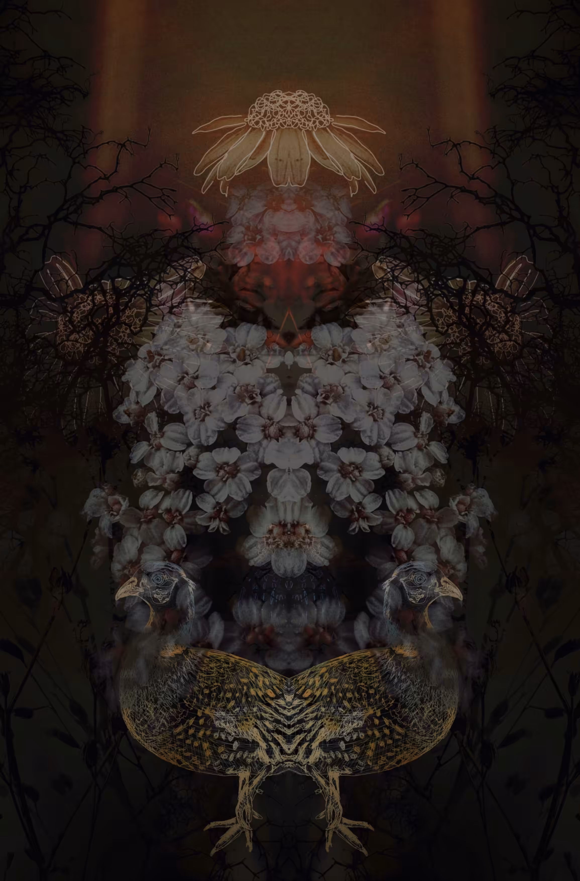 Crowning Glory