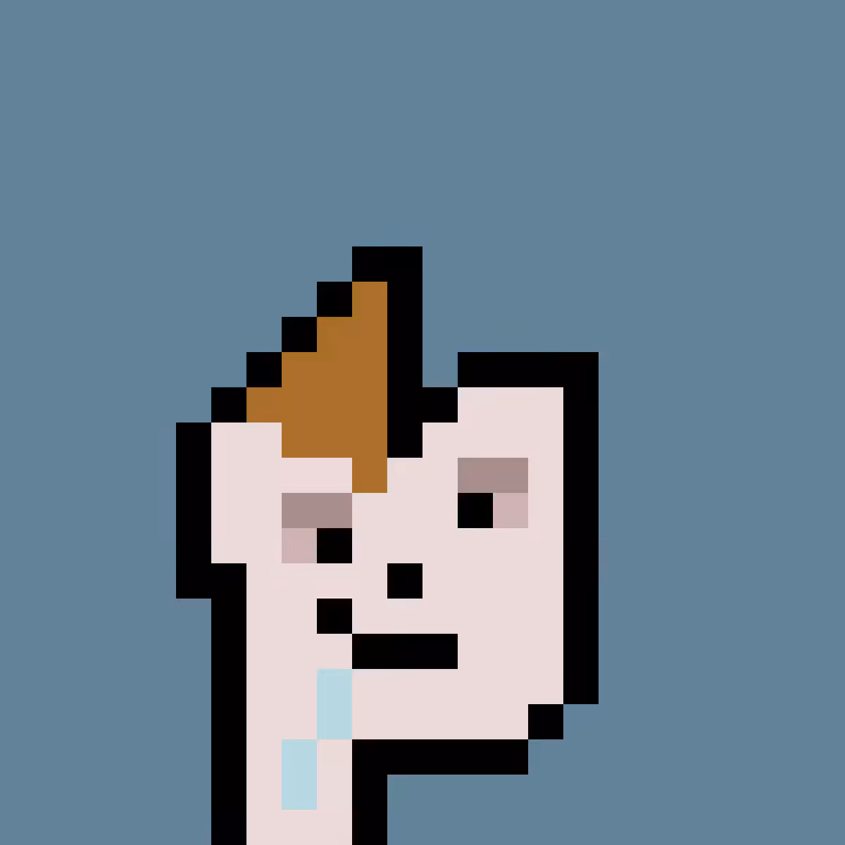 PNUKS #2656