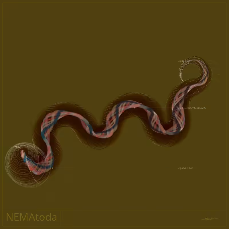 NEMA #6