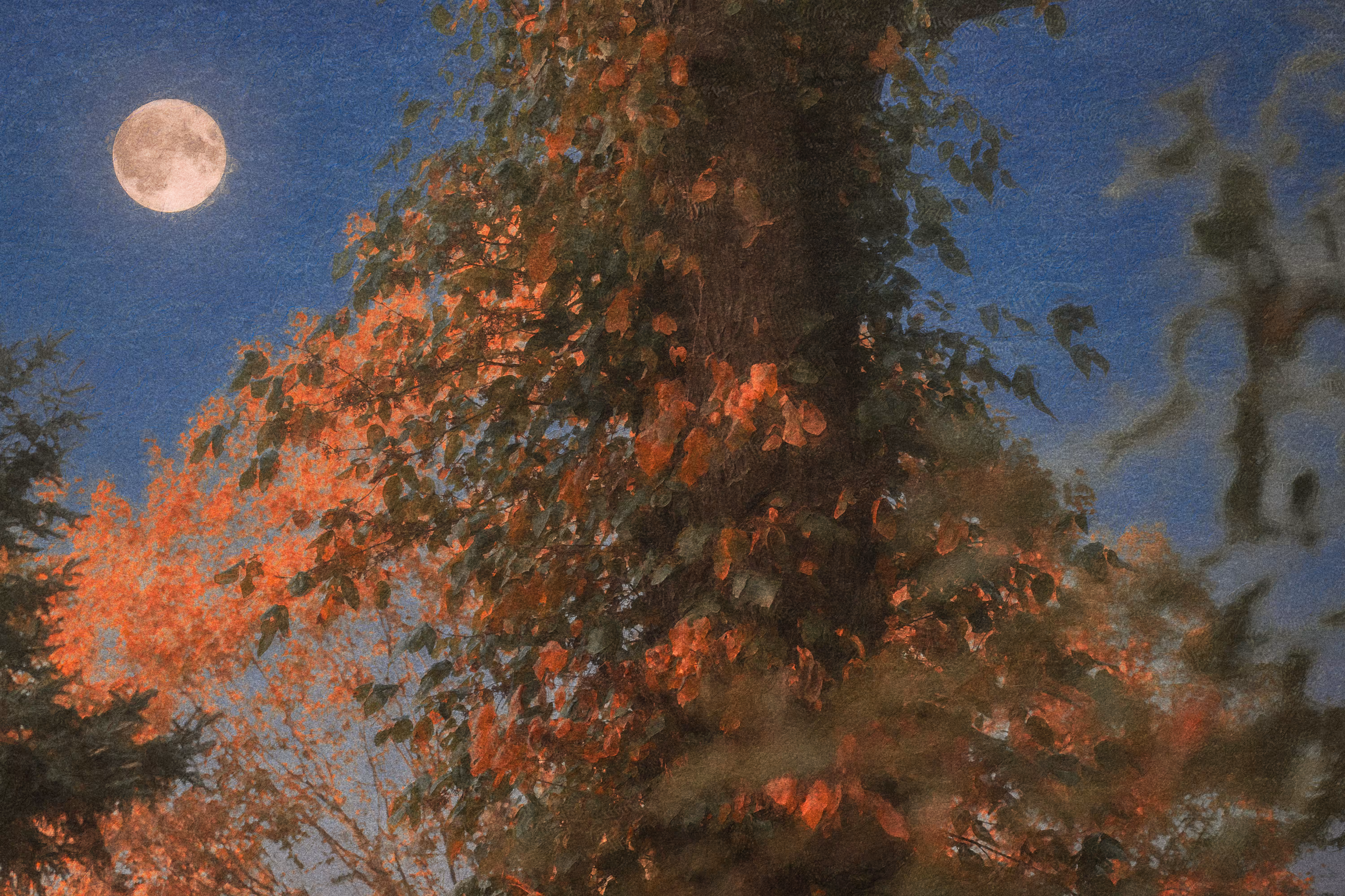 Amidst a Transitionary State