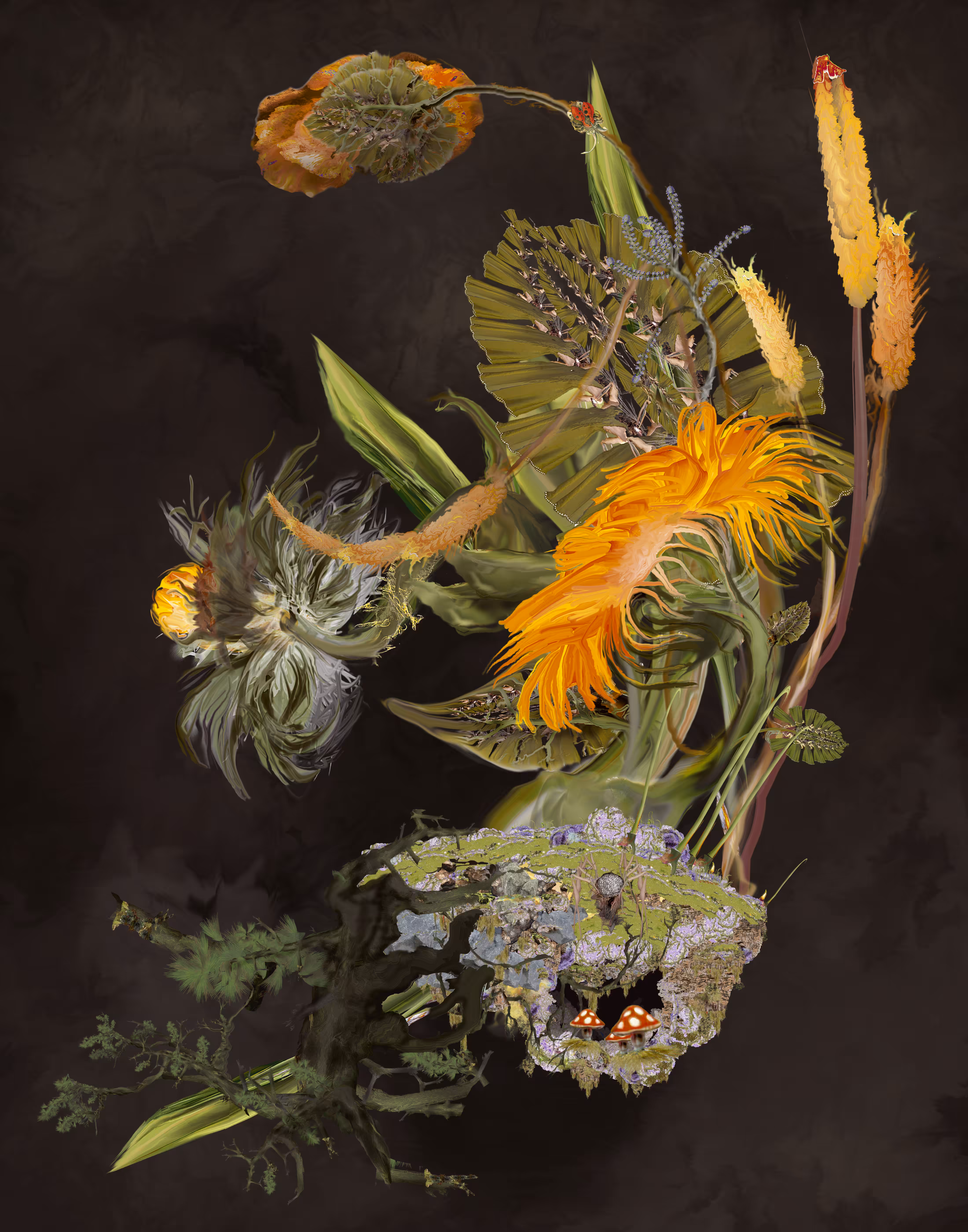 Still Life 18.0
