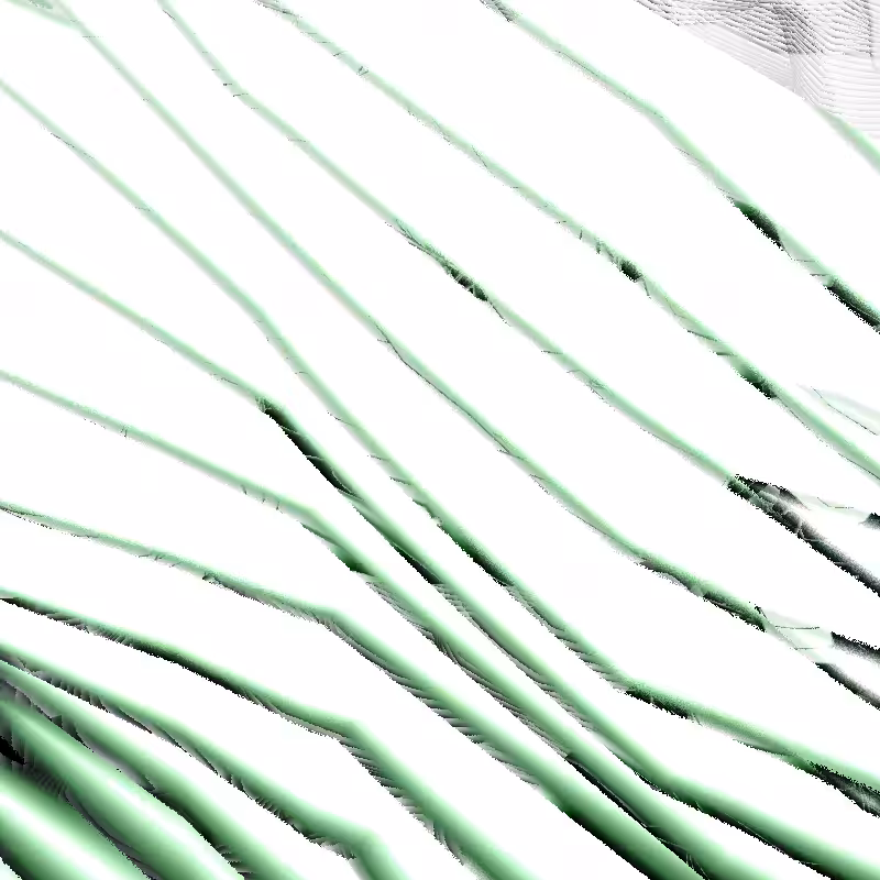 voyage #15