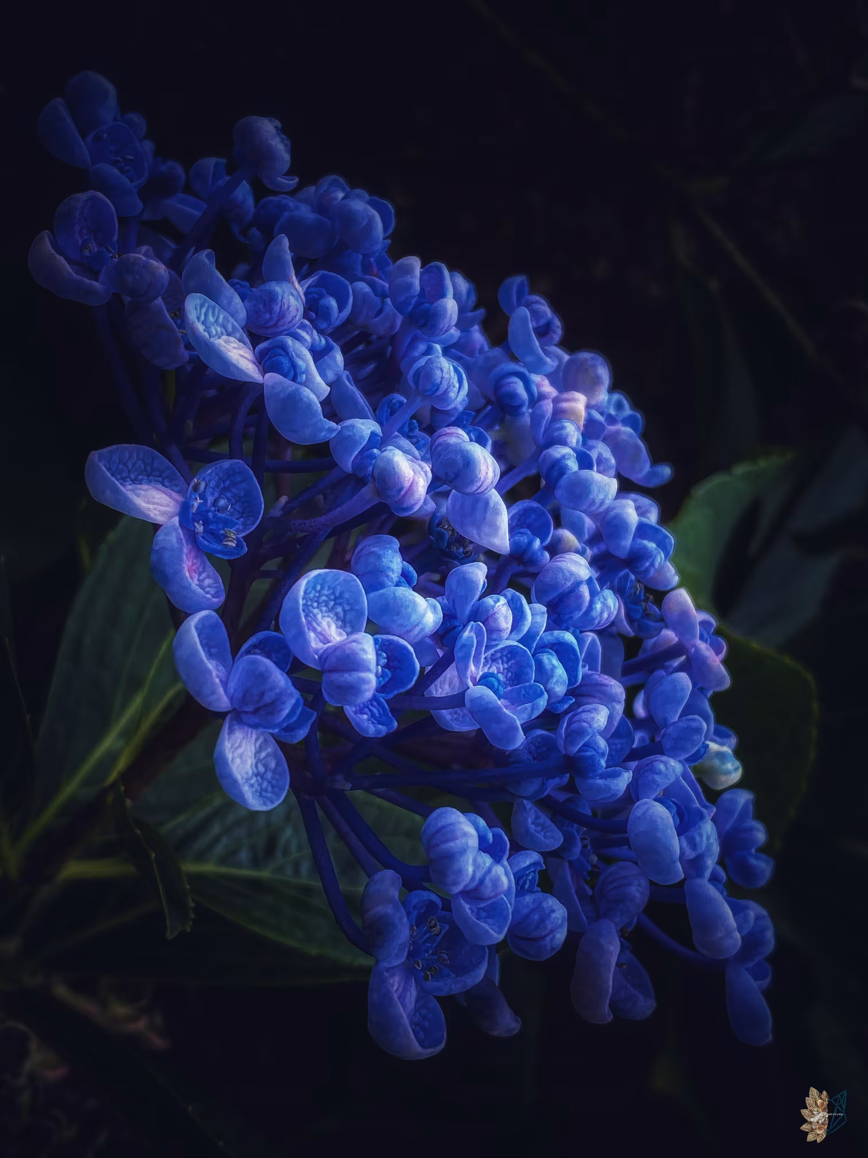 Once in a Blue Moon