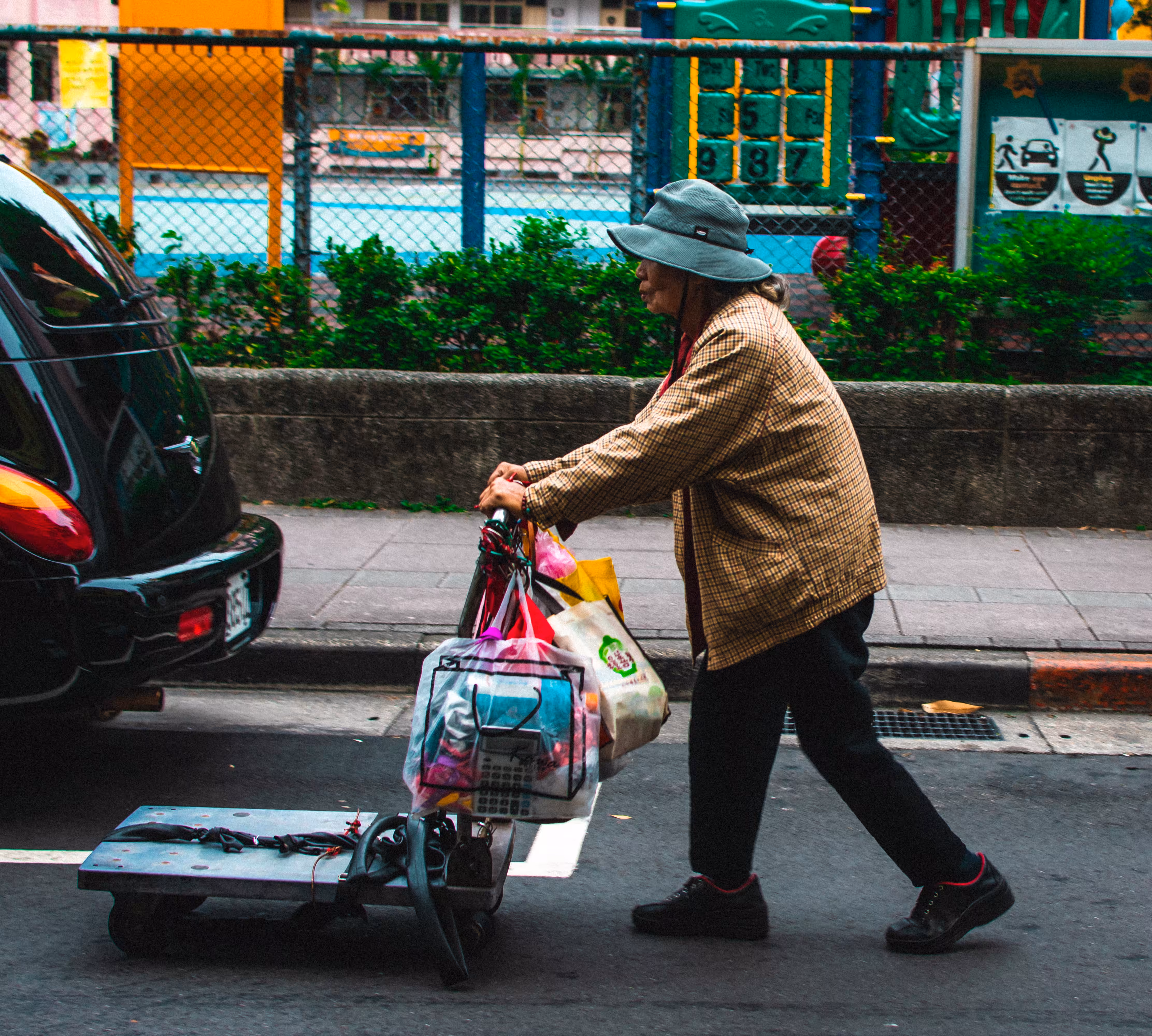 Lady and the Cart