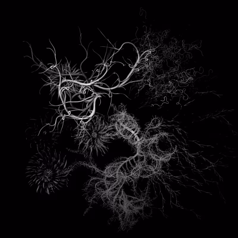 Botanical Ghosts #127