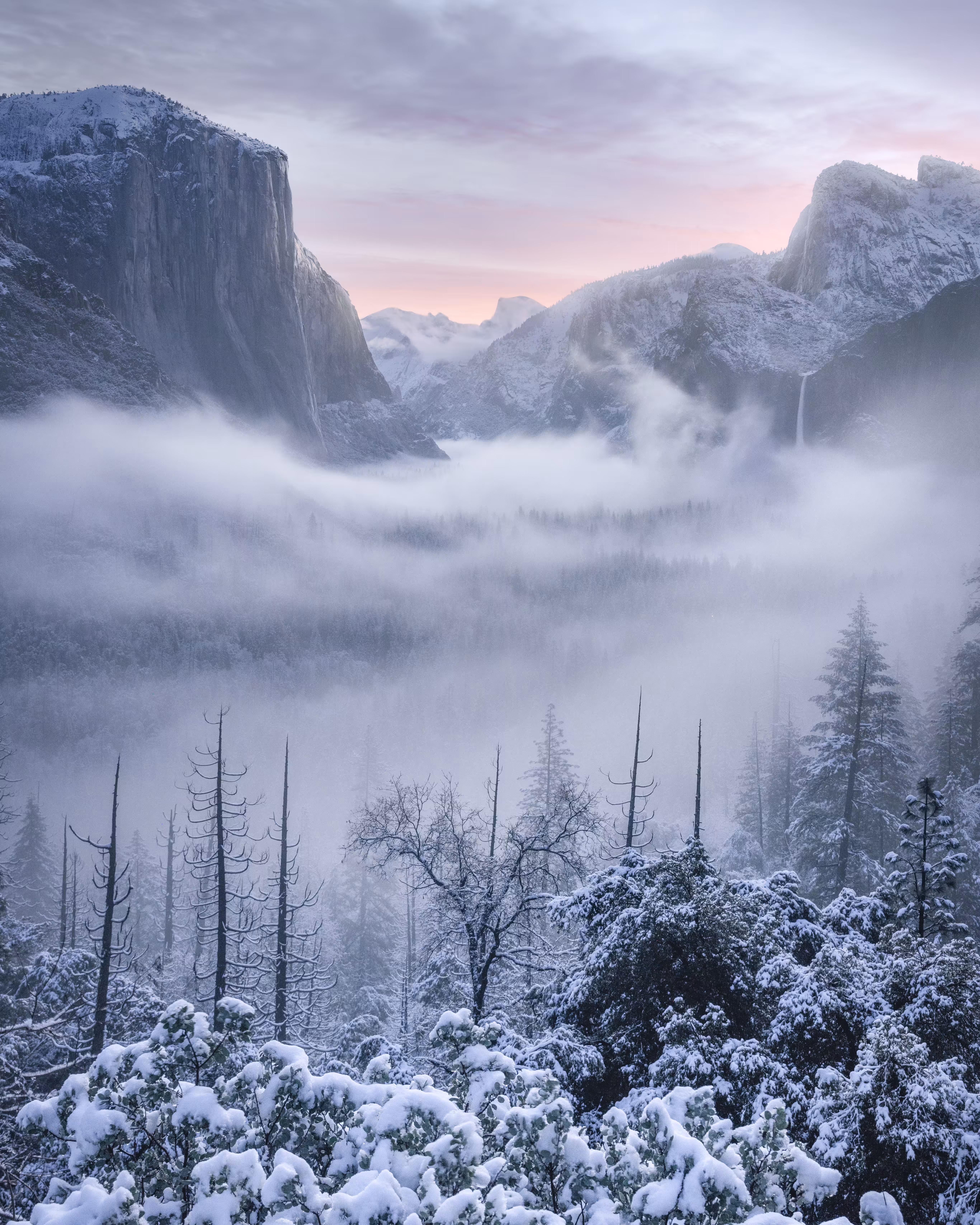 Winter Wonderland