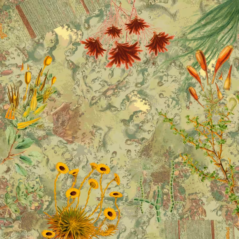future flora from Antarctica's past #36