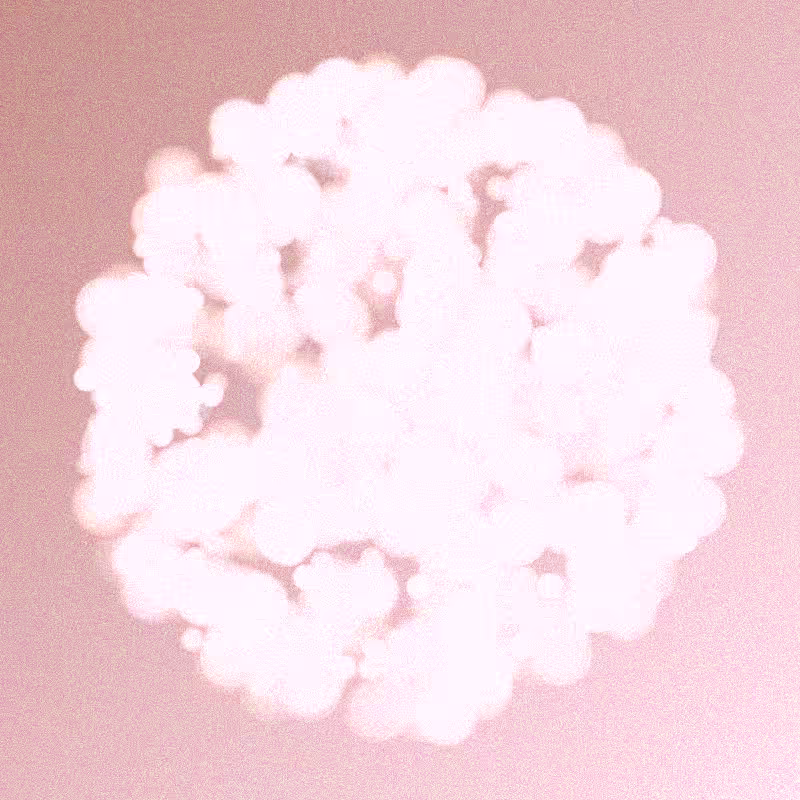 Furbol #587