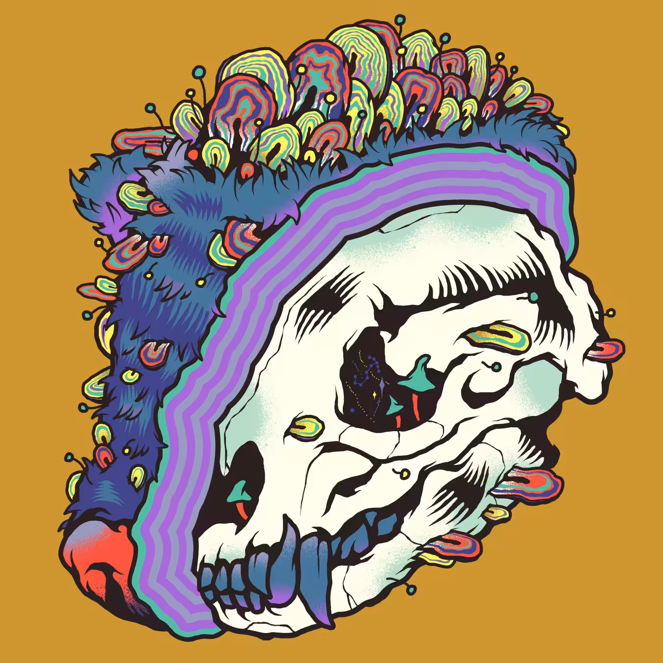 PRMLSPRT - Honey Badger