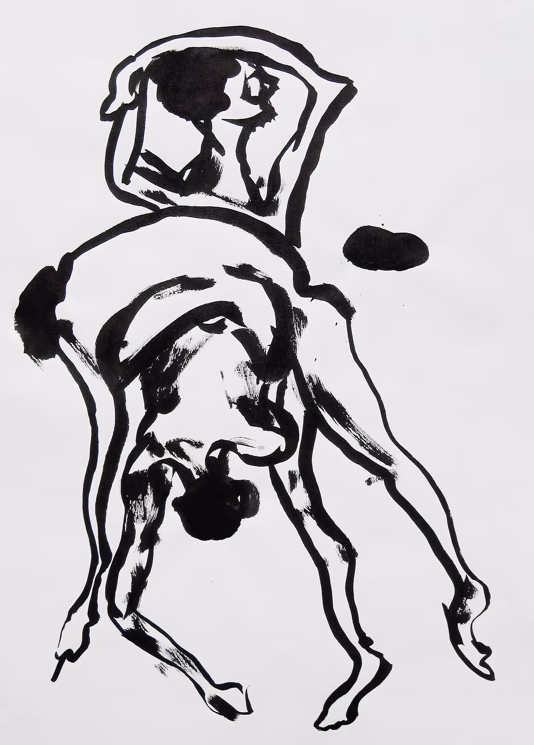 Spring (3 steps)