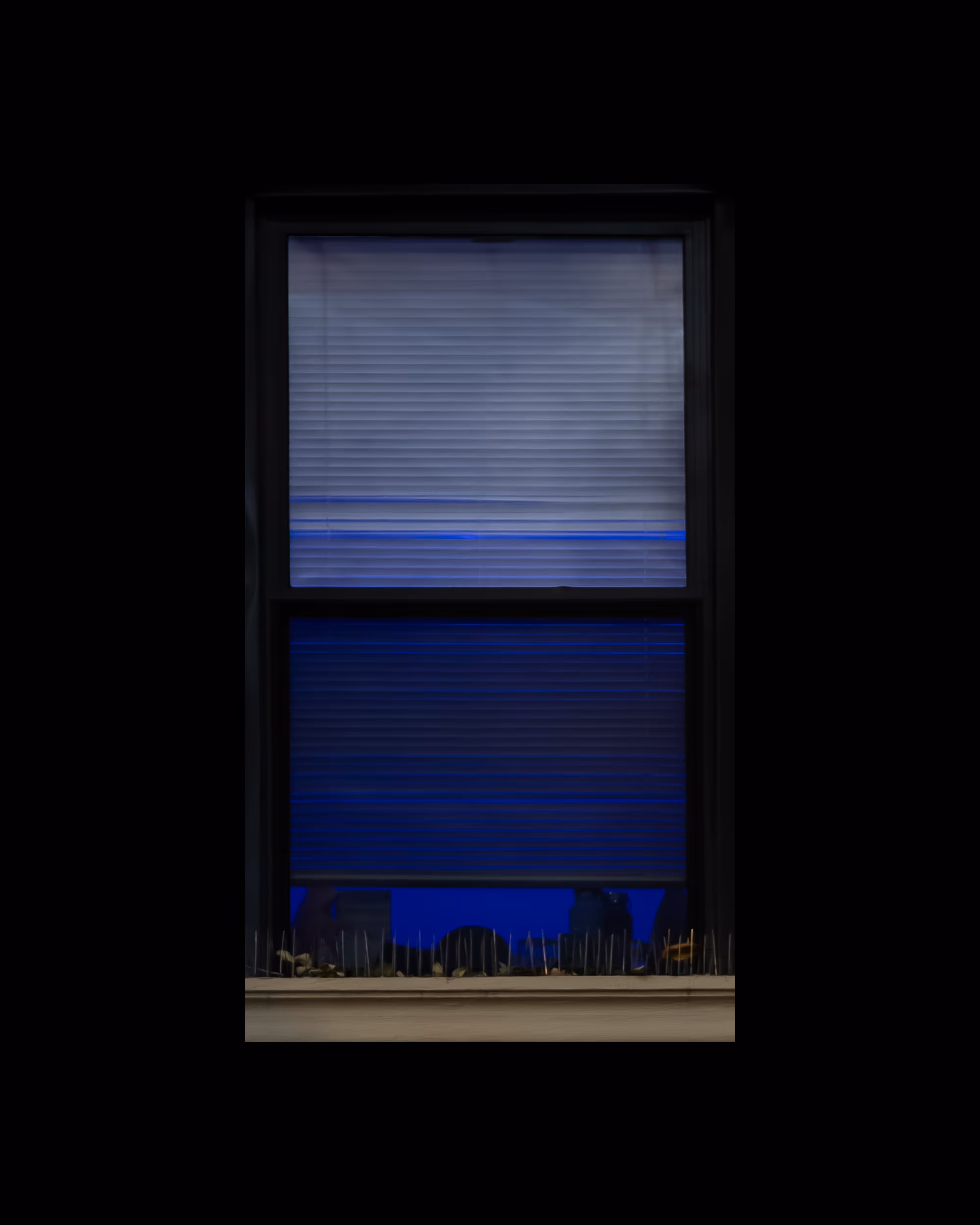 WINDOWS // NYC: WINDOW 775