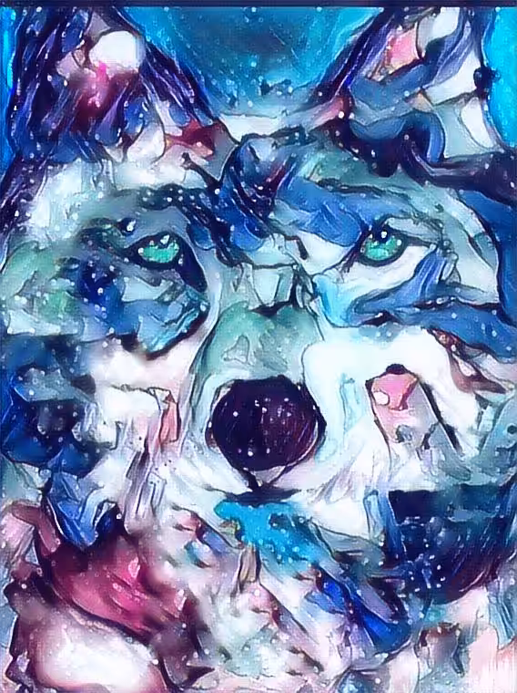 wolf in blue