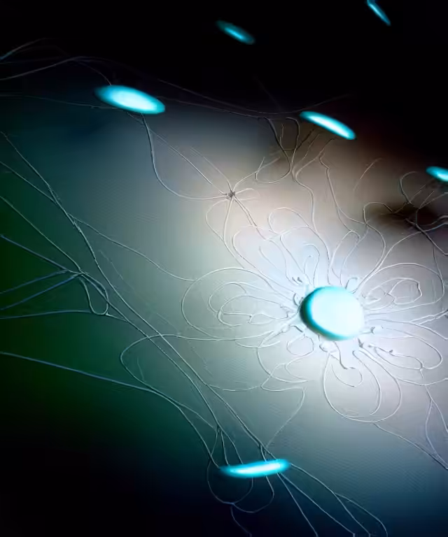 deep_dive3