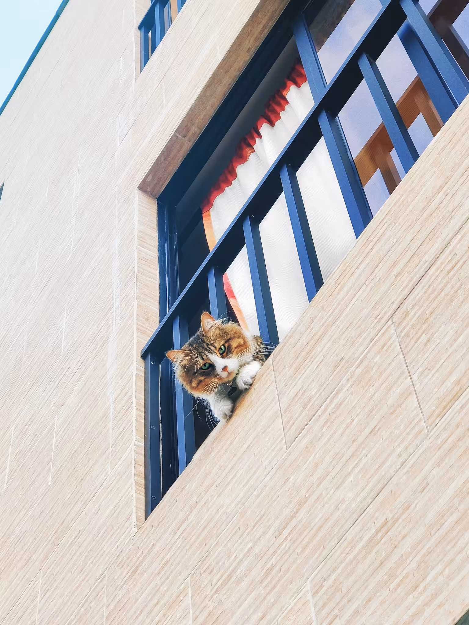 Peekaboo