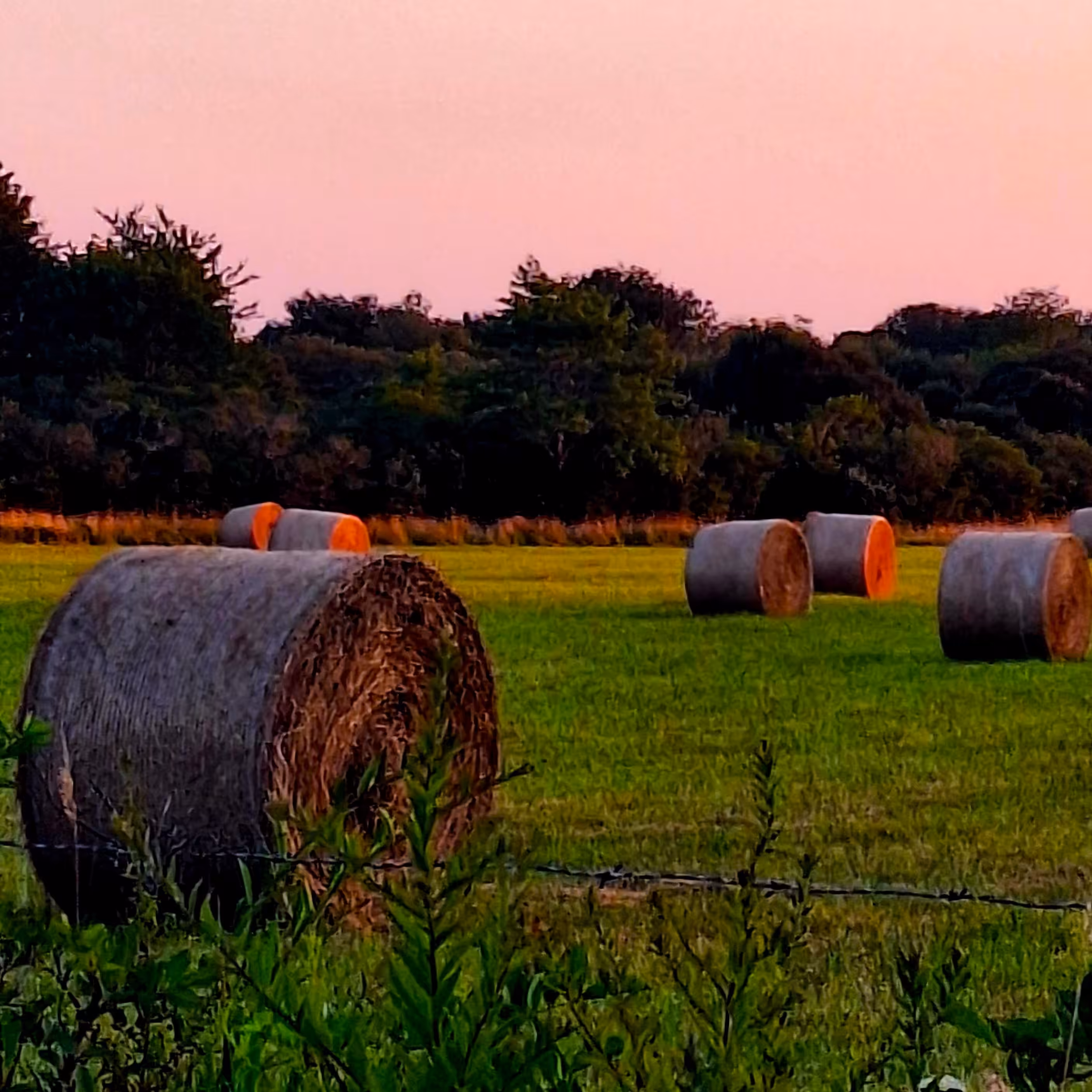 Hay Bales At Sun Down