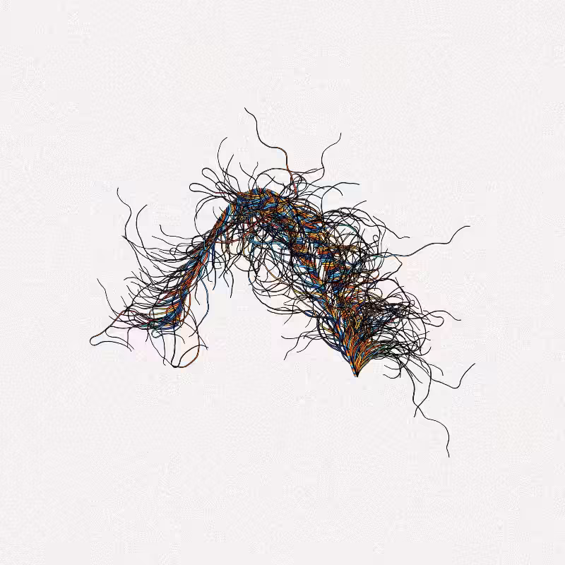 365 Tentacles #335