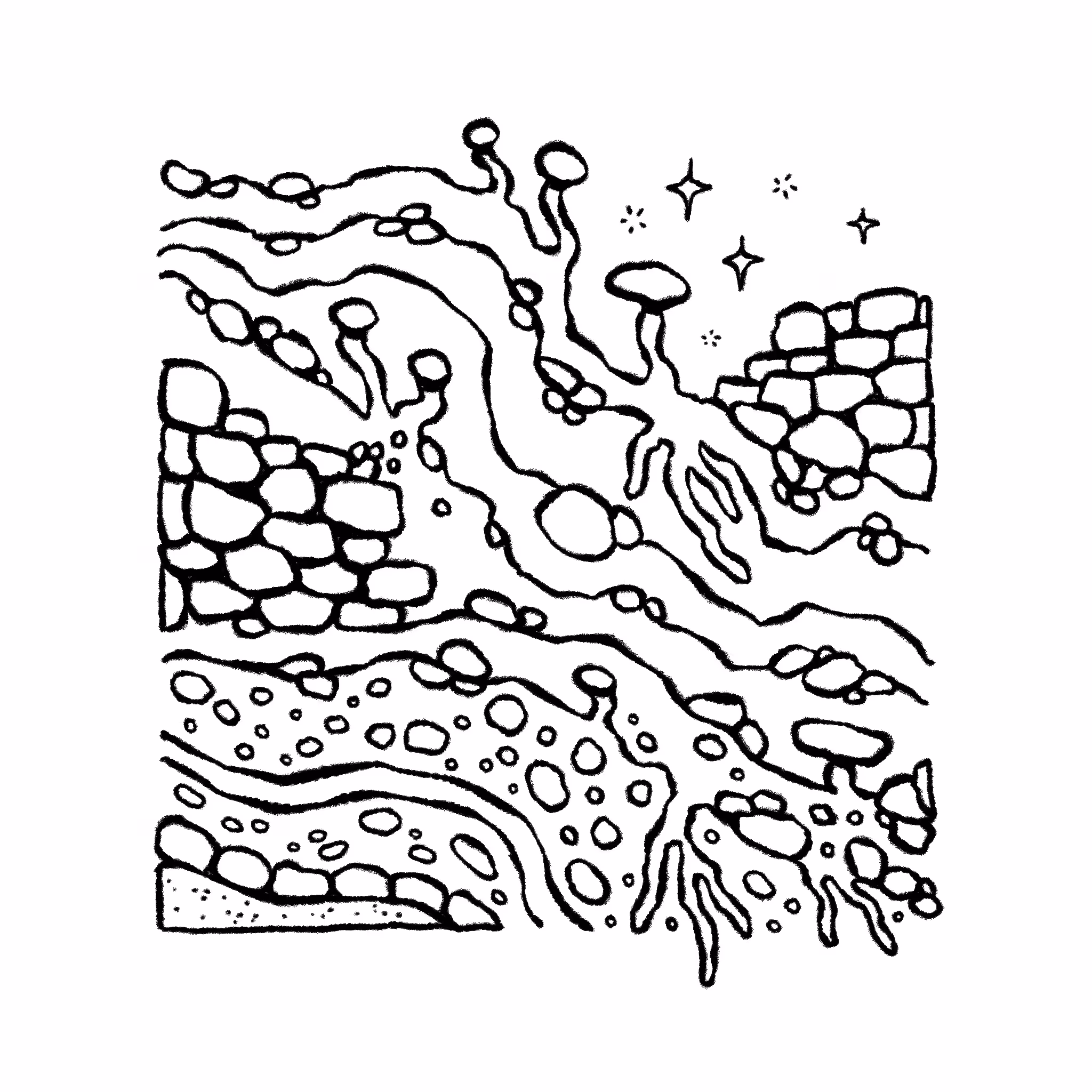 •••089•••