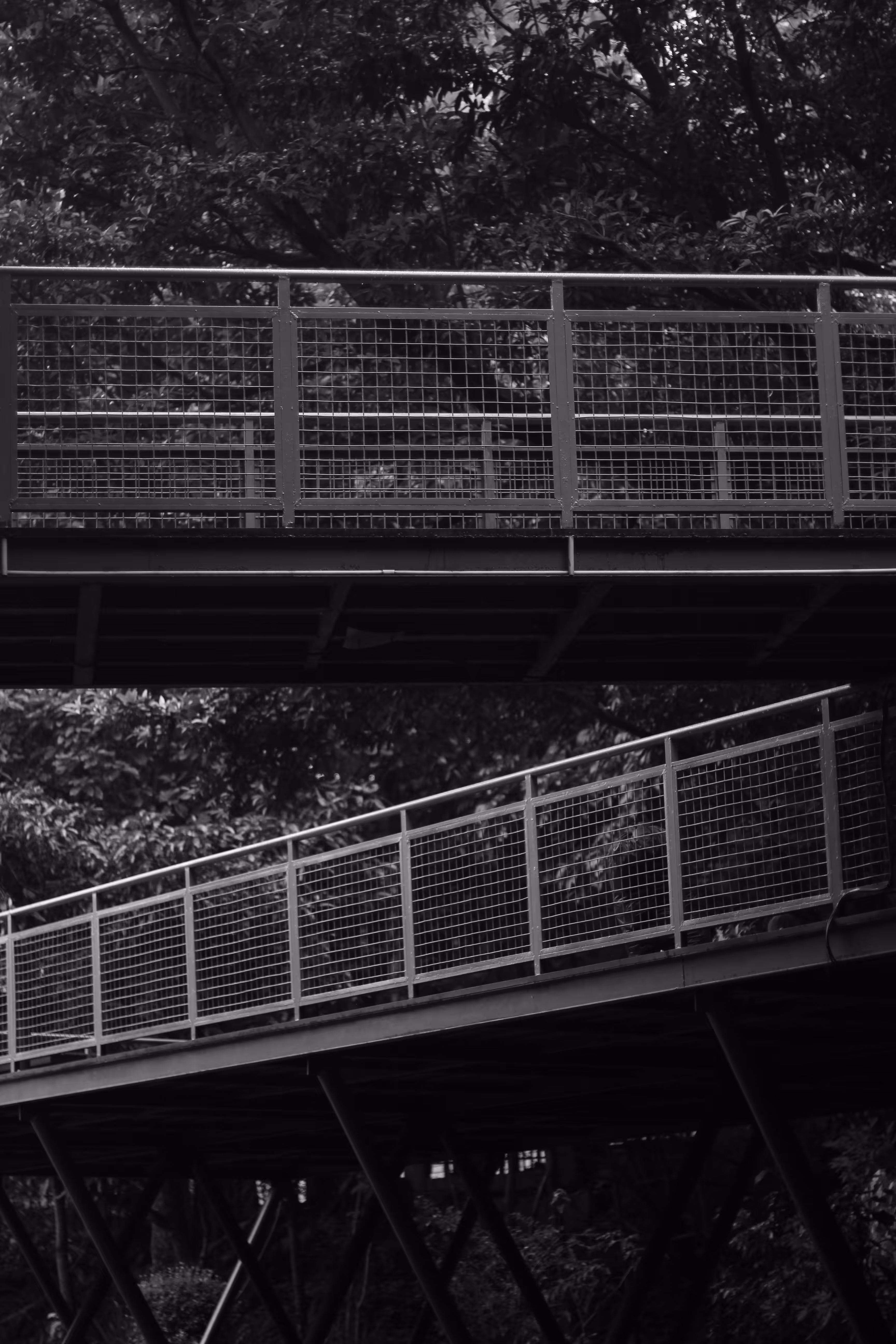 Chapter 14 "Bridge"
