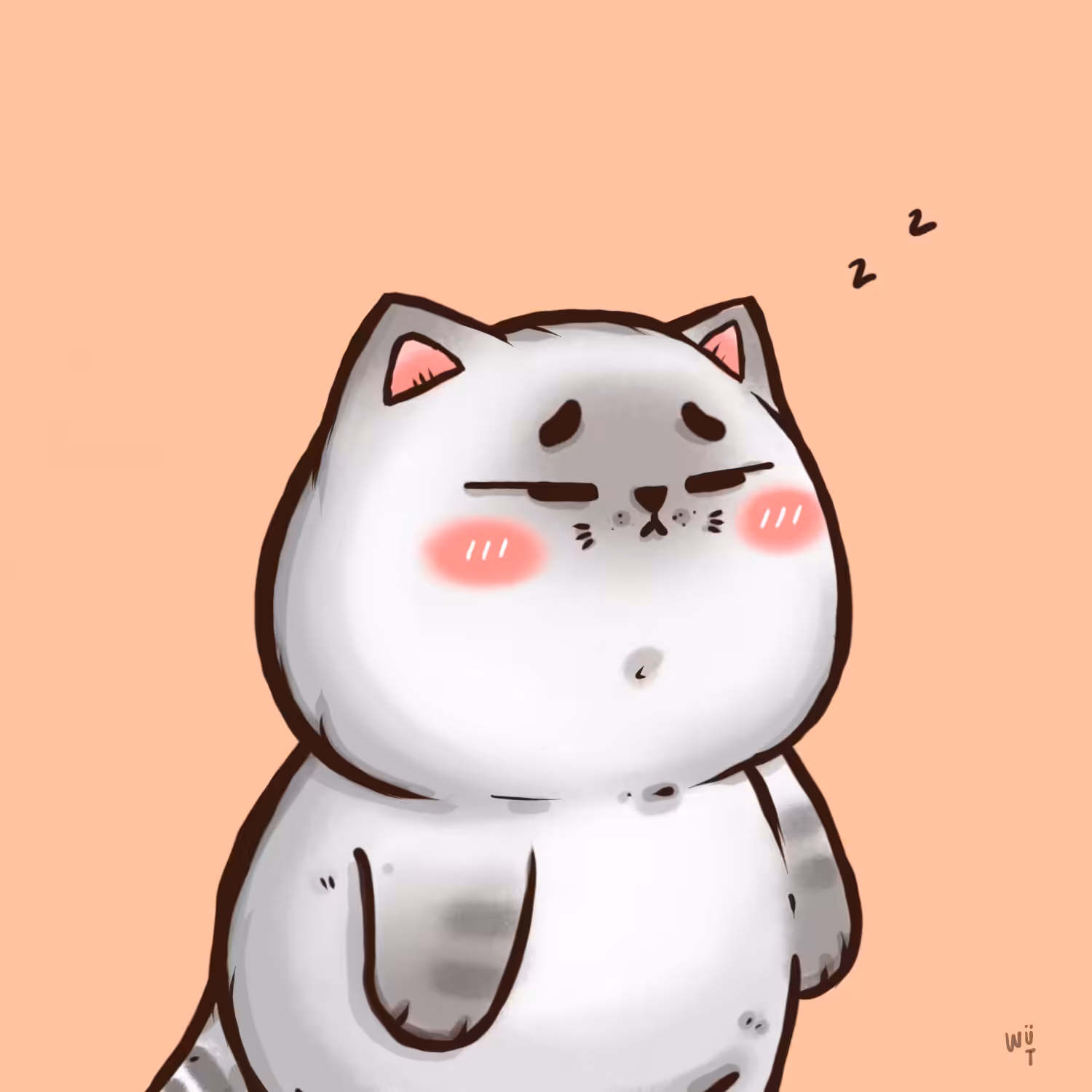 hachi cat #0