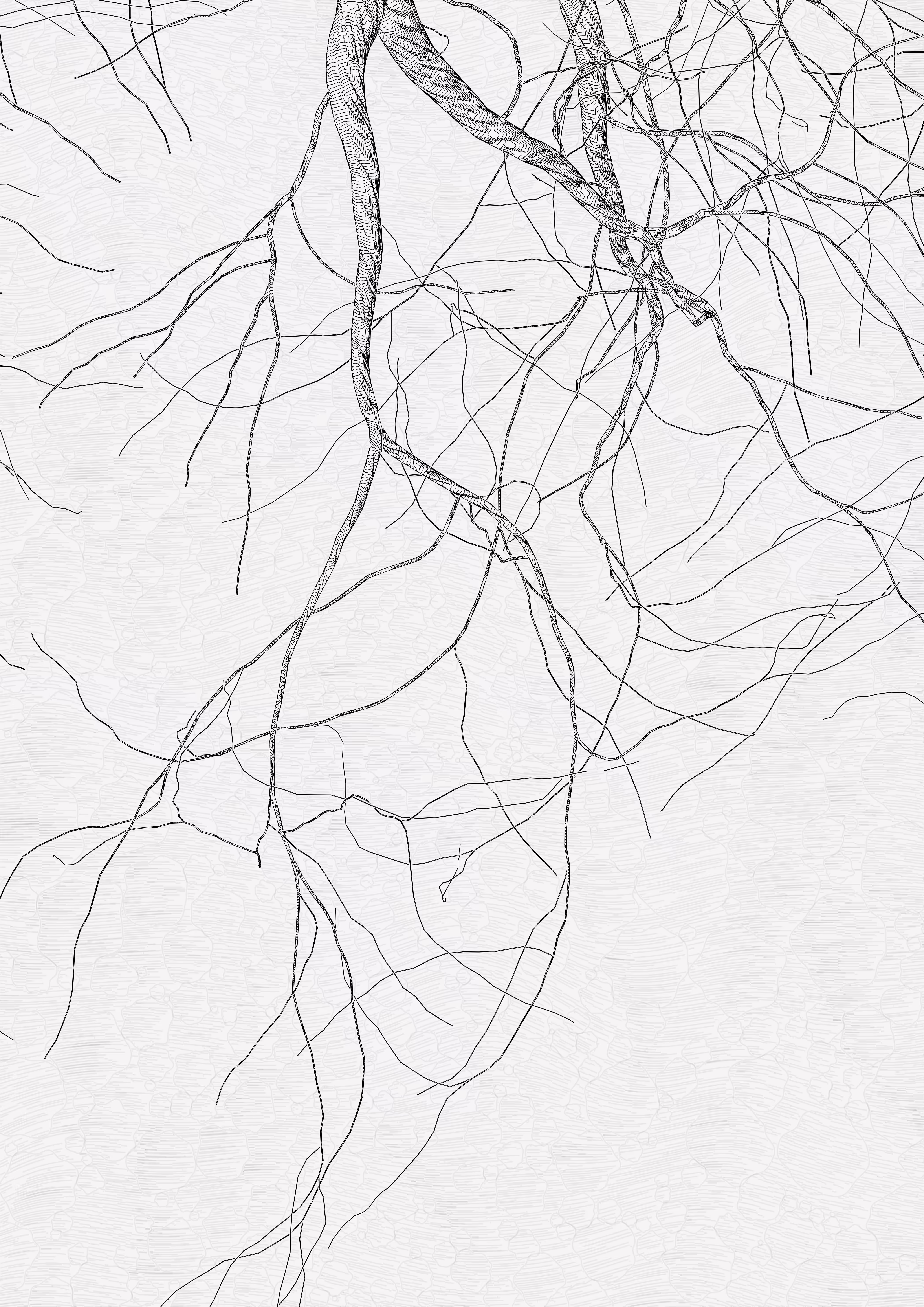 The Oak Tree part #0,-2