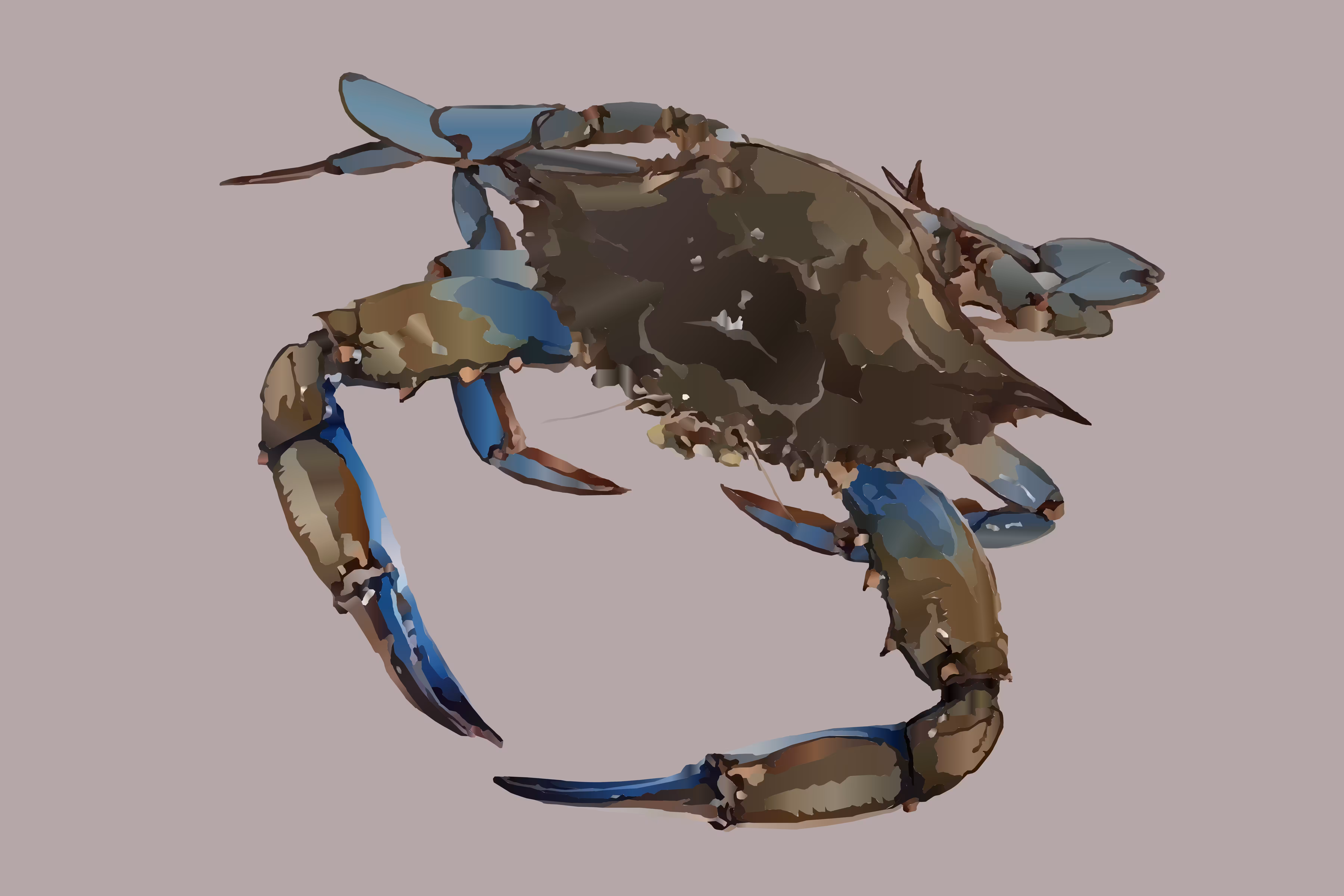 An Invitation from a Crab