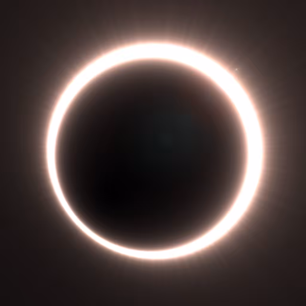 Totality #349