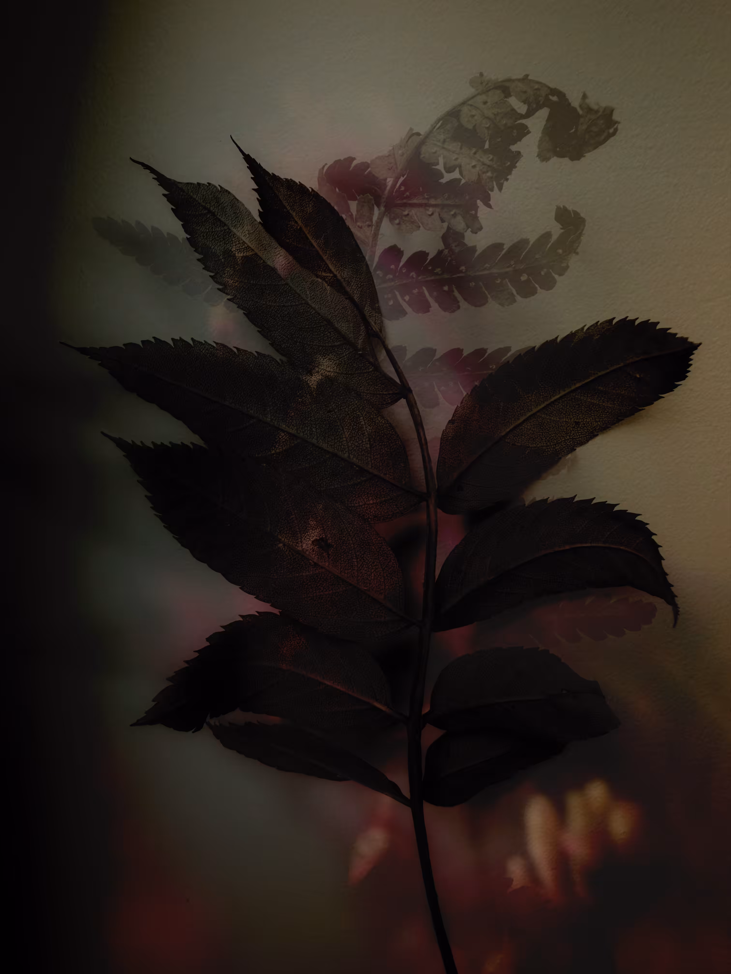 Linger