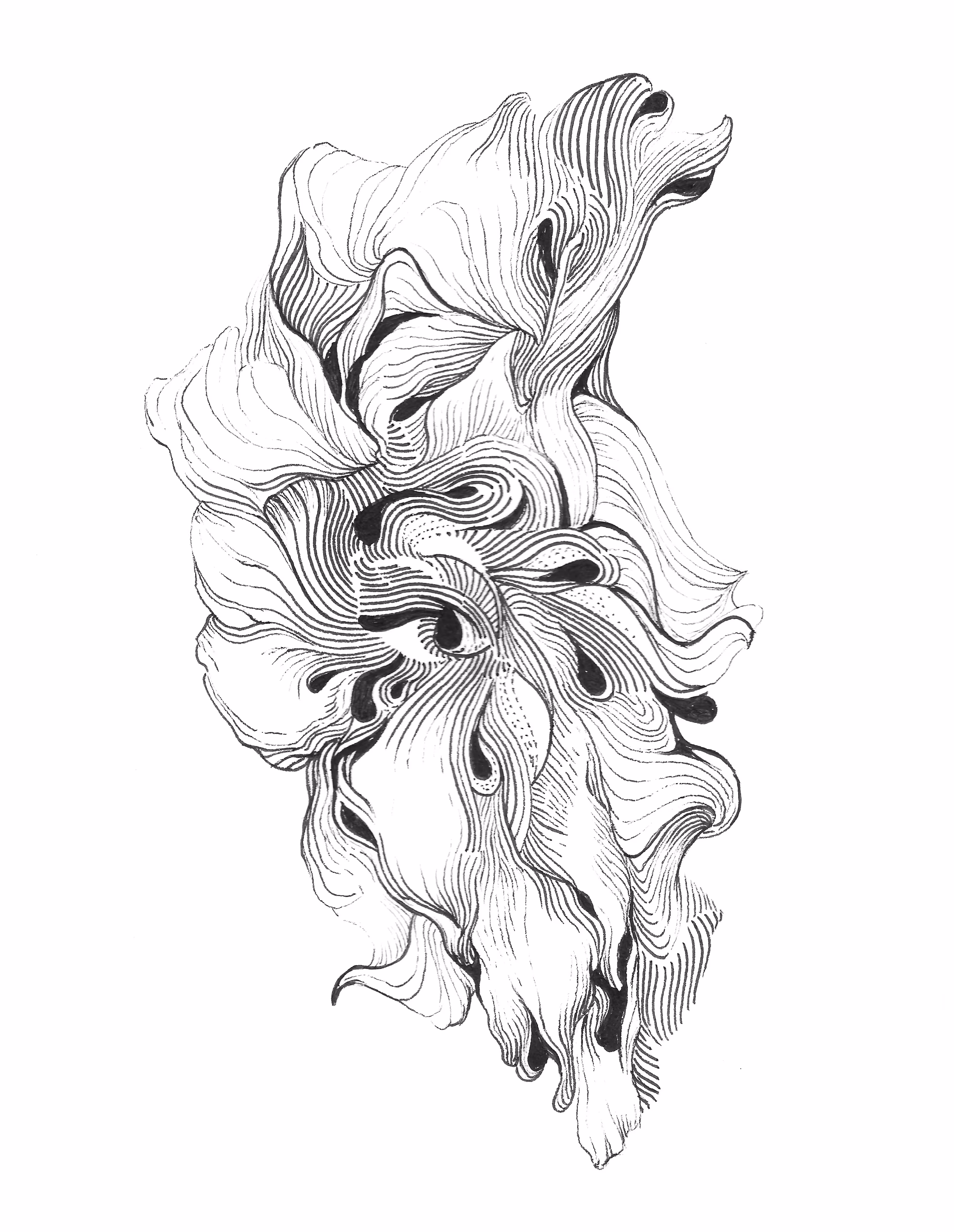 SKETCH REFLECTION