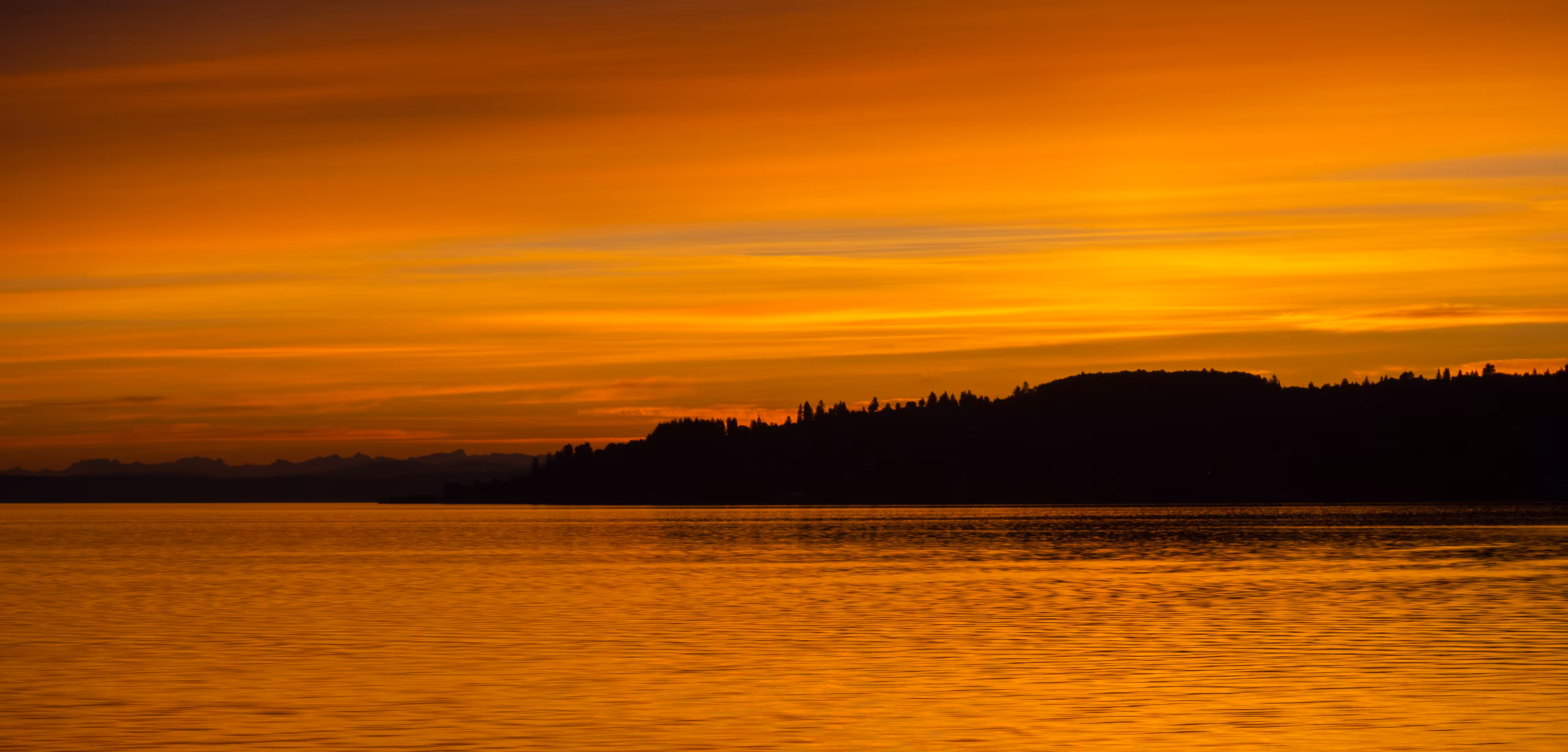 Eclectic Sunset