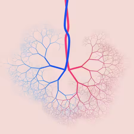 capillary trees #8