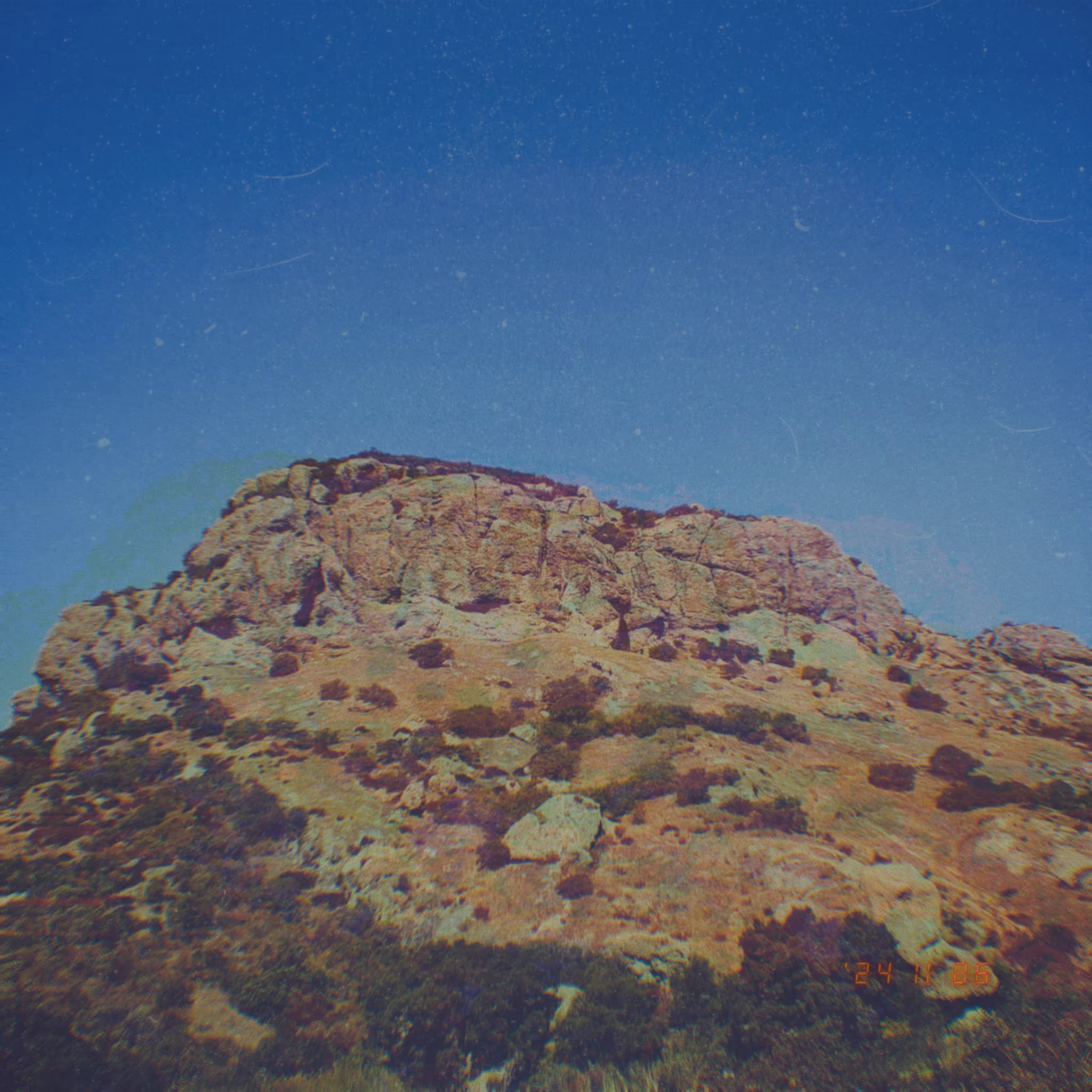 :a Visual Odyssey:: Day 311/365