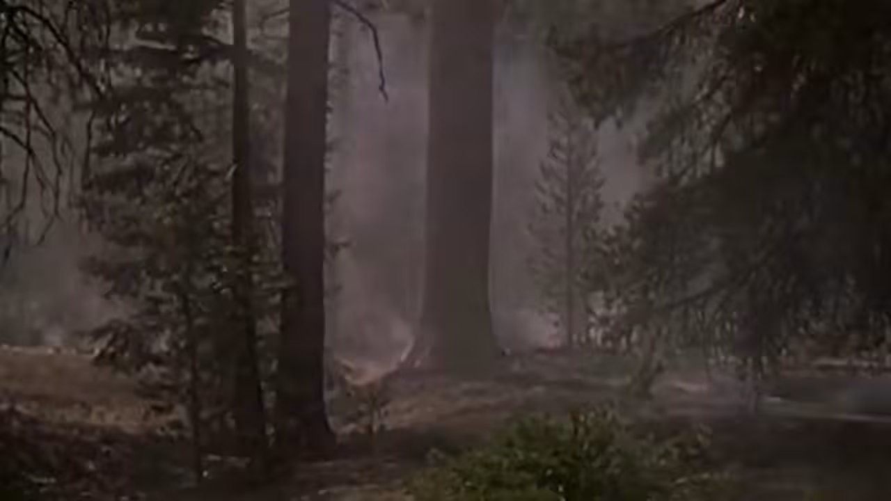 Song A Day: Fire and Flame
