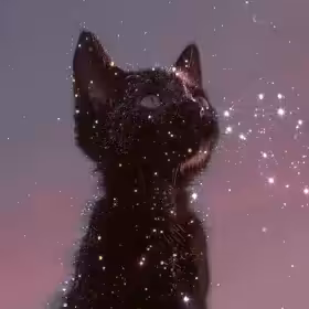 Diamond kitty