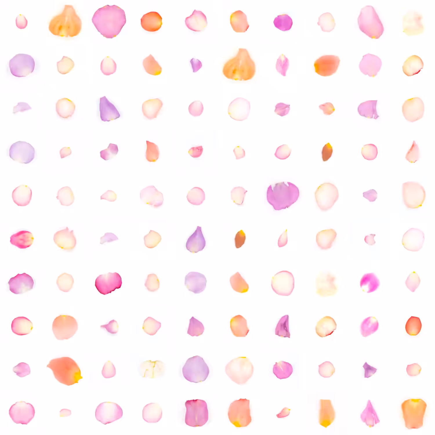 Infinite Petals 10x10#2029