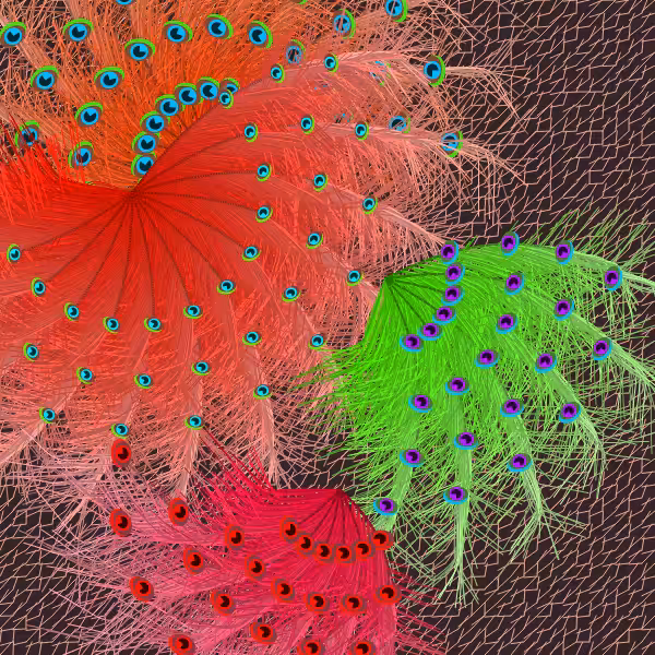 Oriental Peafowl Impression #15