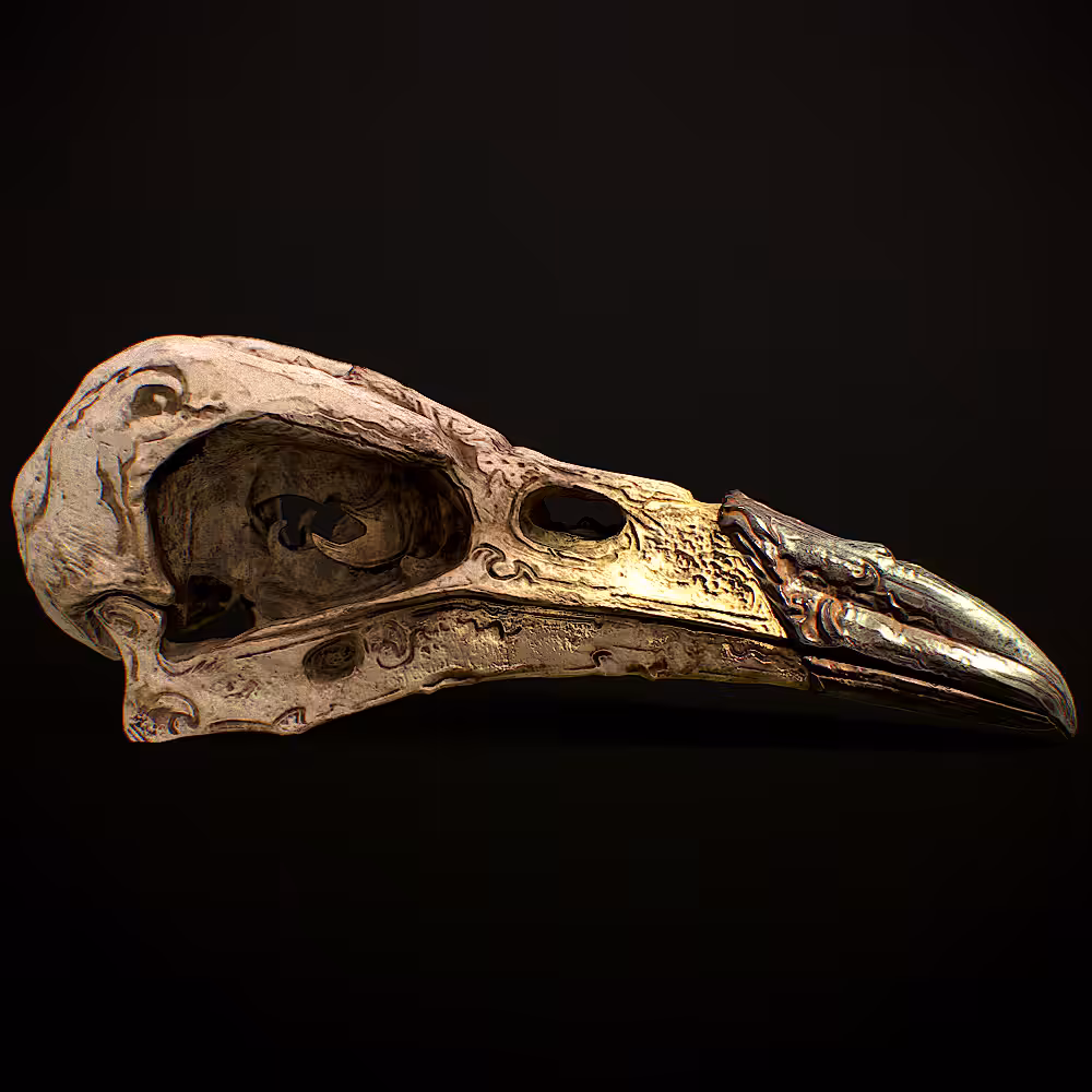 Crow skull - 002